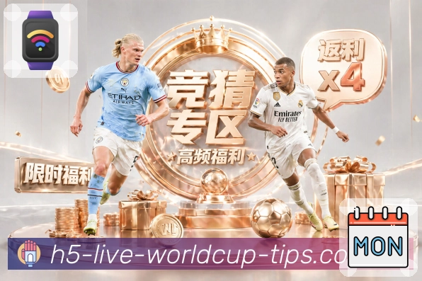 安全登录器 - 加密访问与快速直达